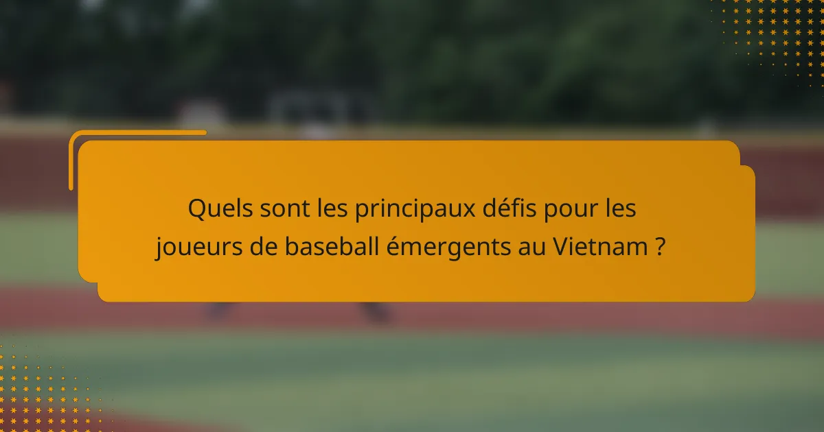 Quels sont les principaux défis pour les joueurs de baseball émergents au Vietnam ?
